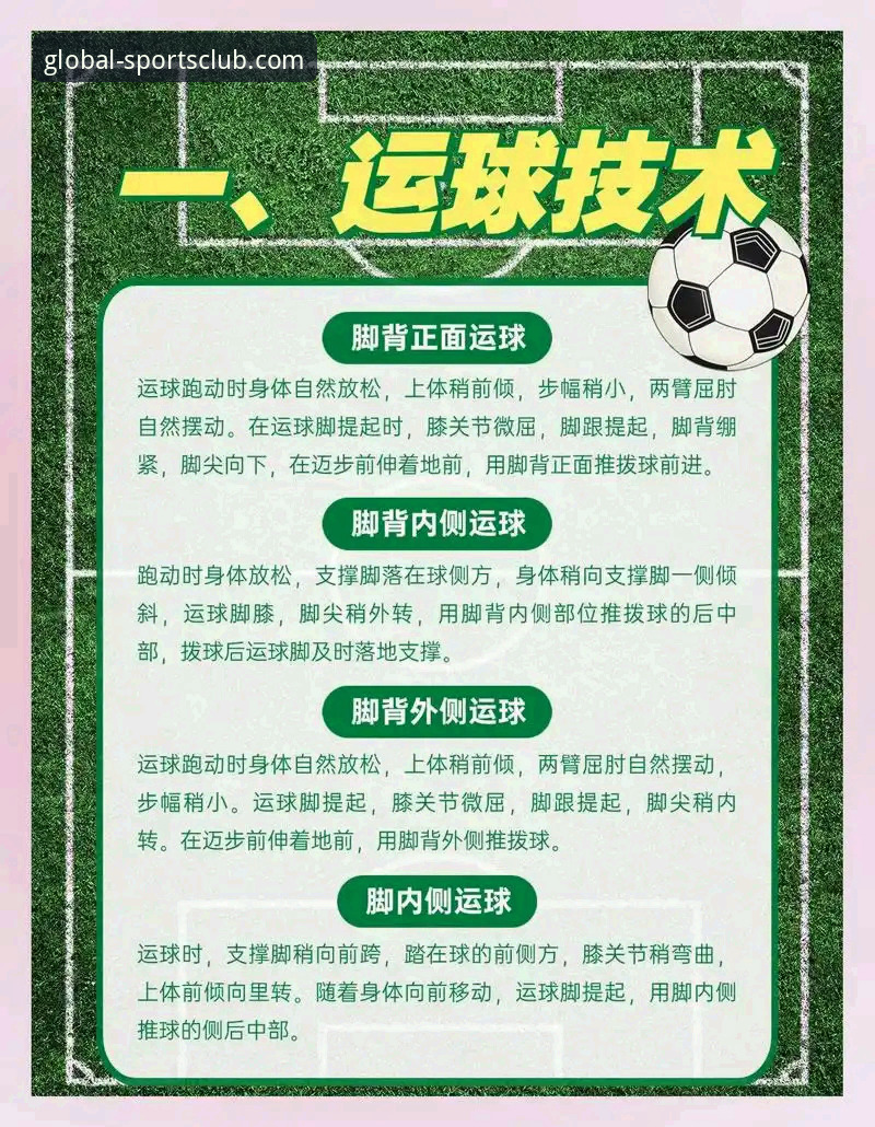 球盟会体育平台深度探索与使用教程：揭秘真实性与创新功能